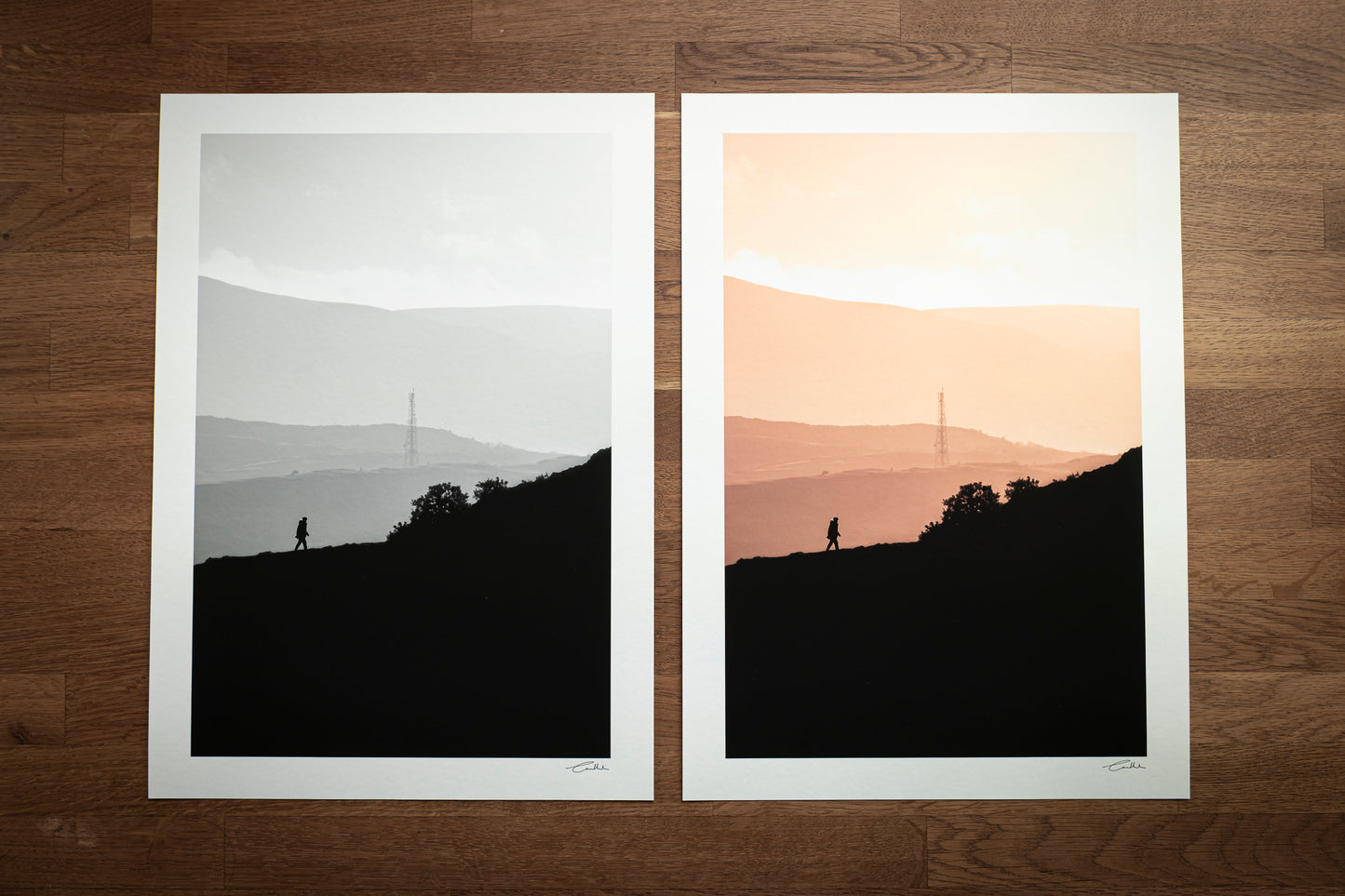 Sunset Silhouette, Edinburgh (Colour)