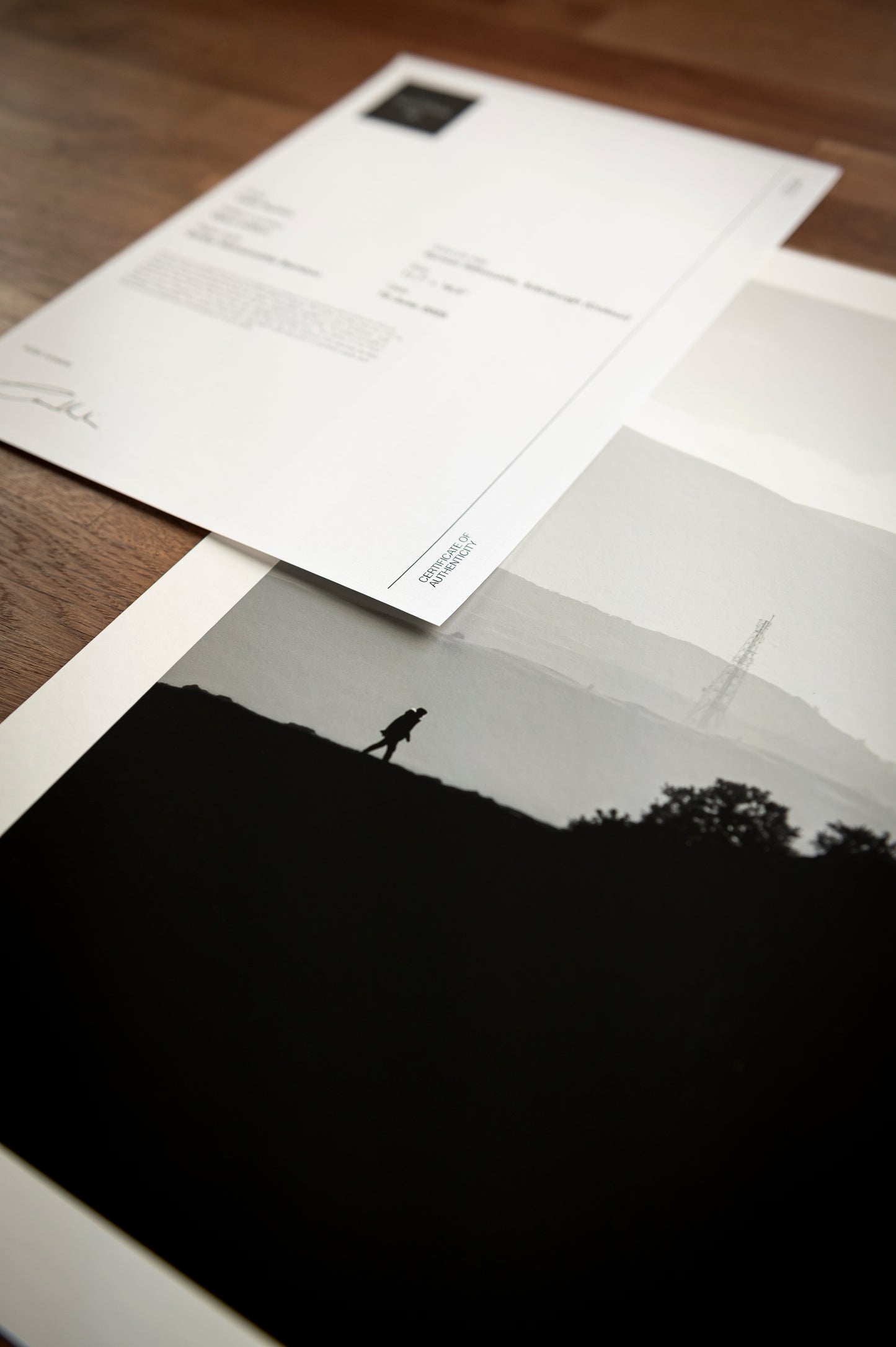 Sunset Silhouette, Edinburgh (B&W)