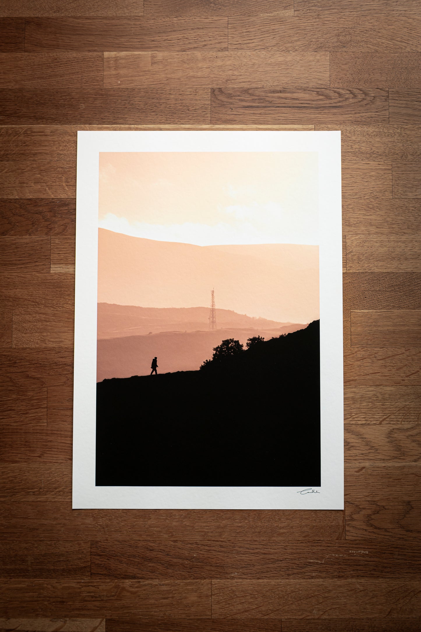 Sunset Silhouette, Edinburgh (Colour)