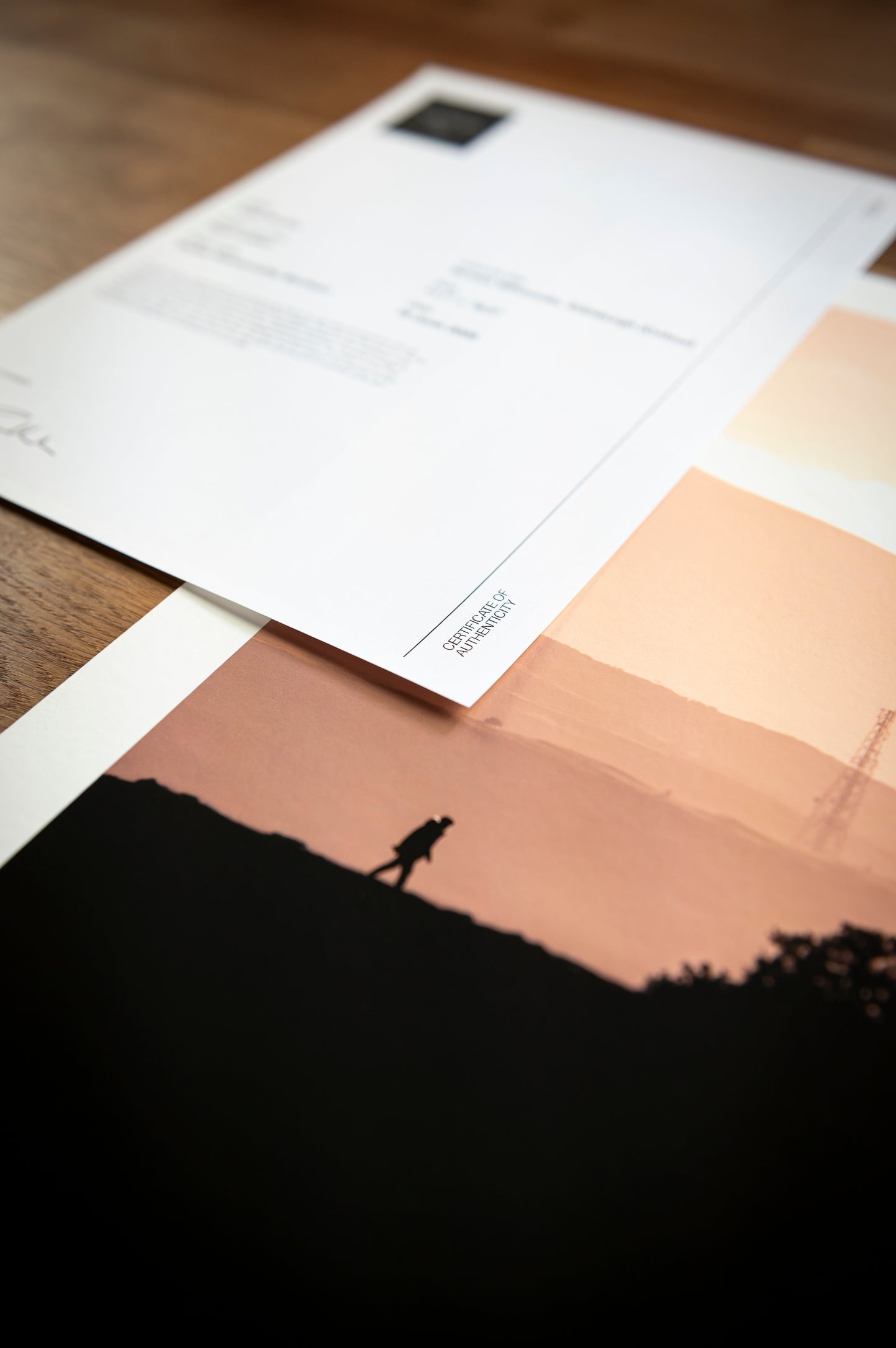 Sunset Silhouette, Edinburgh (Colour)