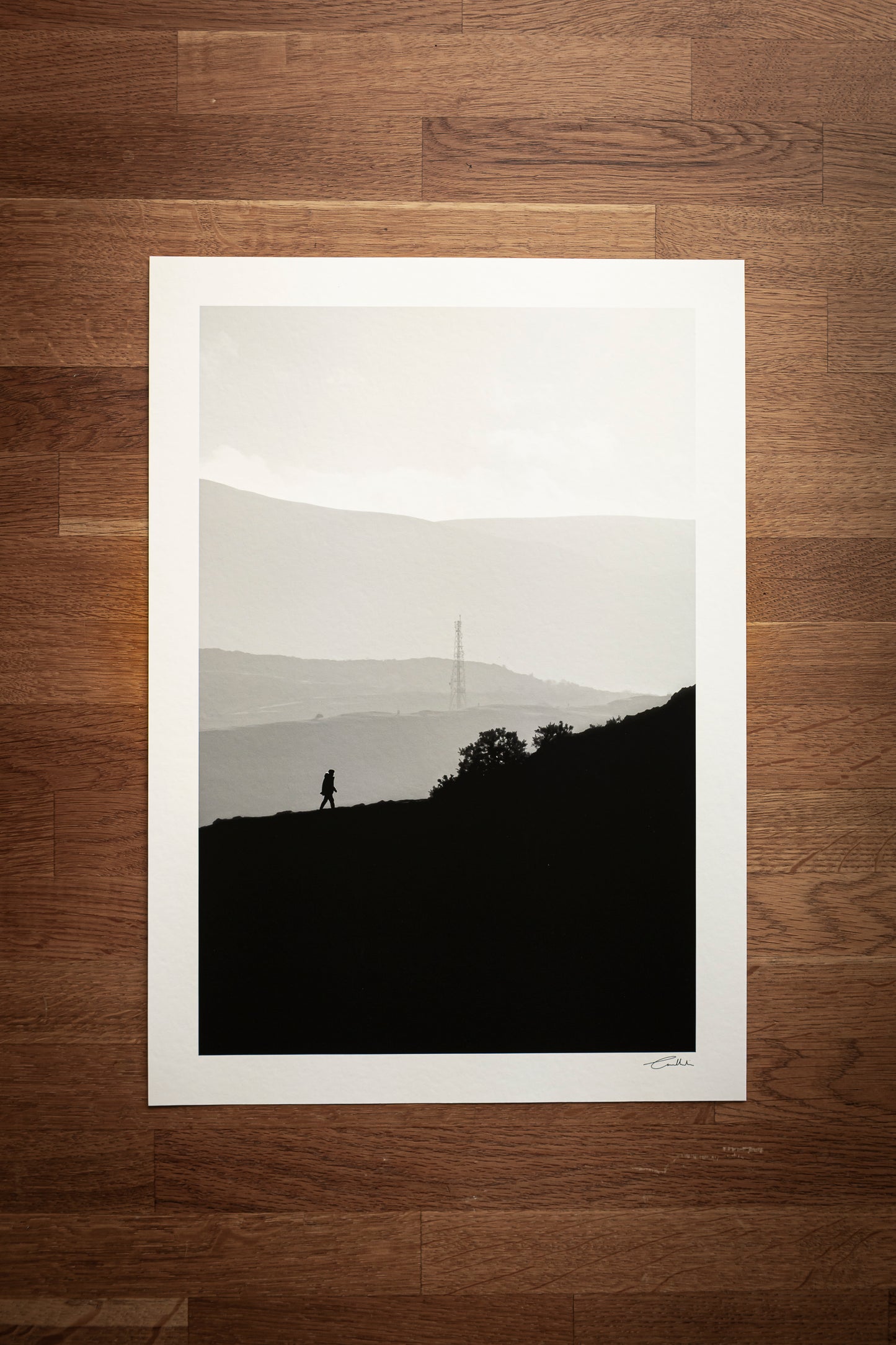 Sunset Silhouette, Edinburgh (B&W)