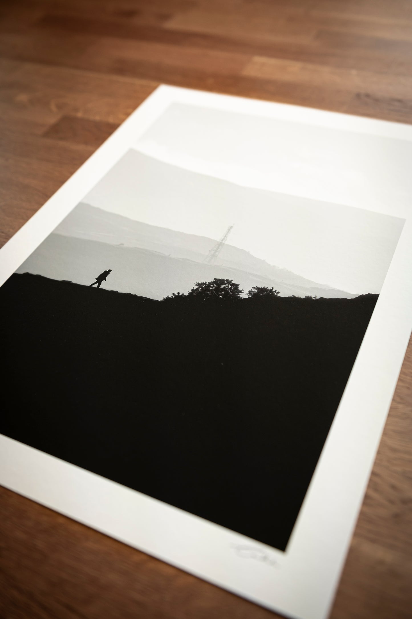 Sunset Silhouette, Edinburgh (B&W)