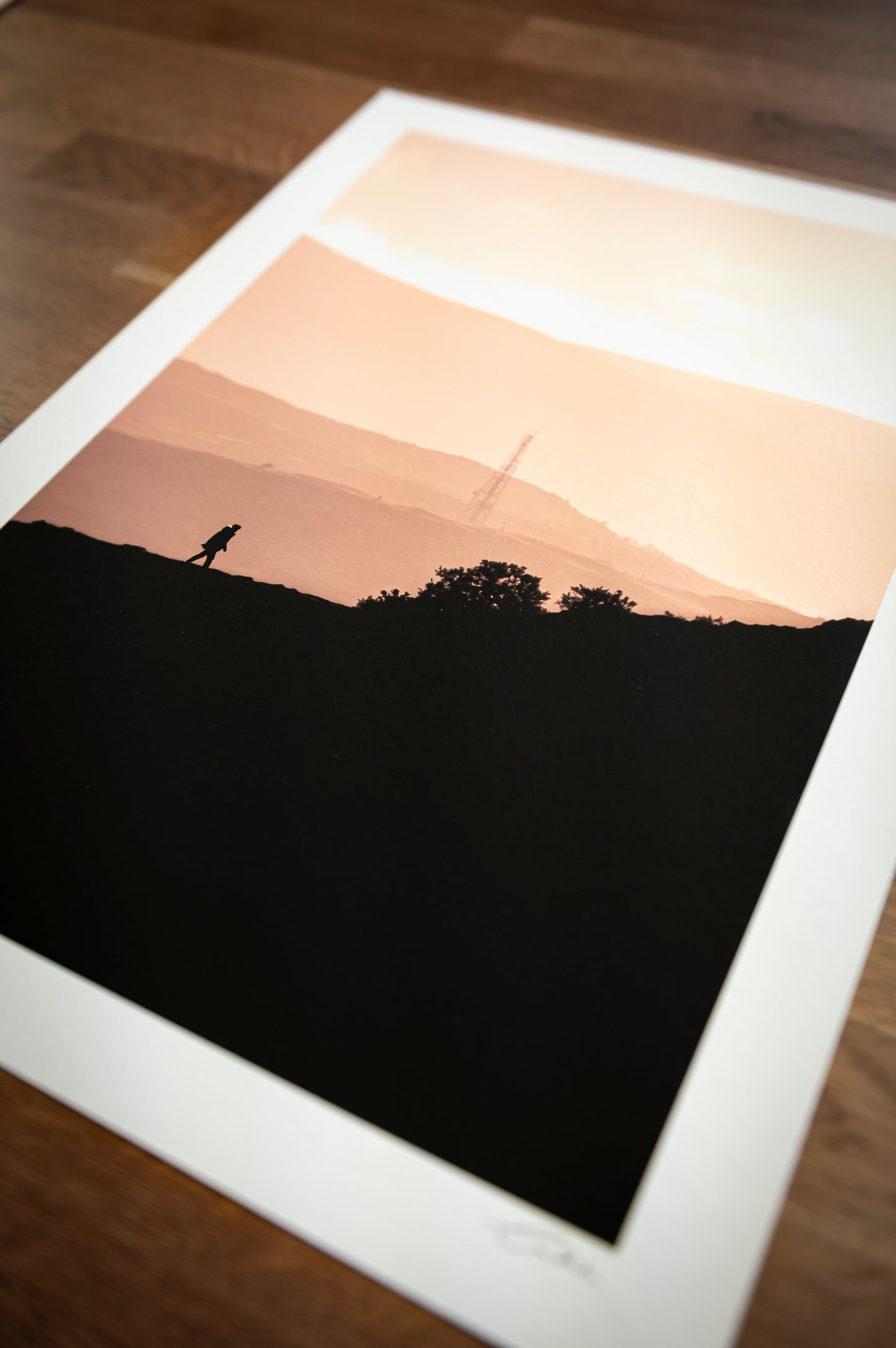 Sunset Silhouette, Edinburgh (Colour)