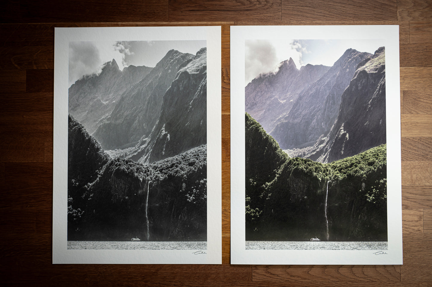 Piopiotahi, Milford Sound (B&W)