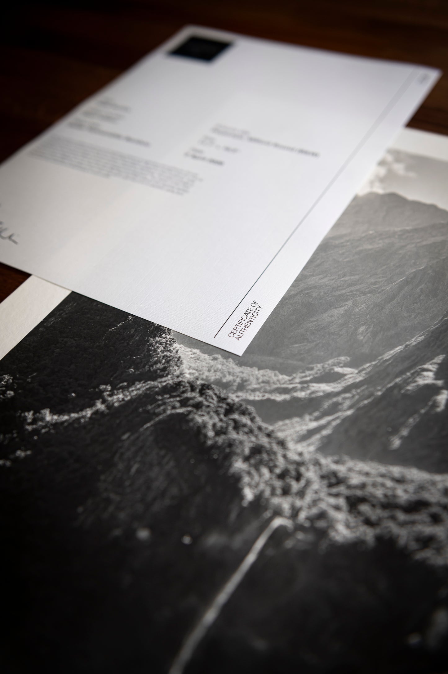 Piopiotahi, Milford Sound (B&W)